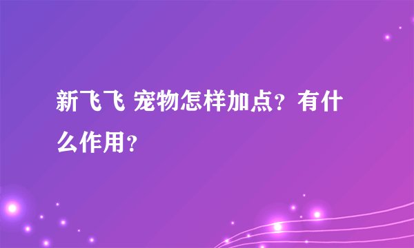 新飞飞 宠物怎样加点？有什么作用？