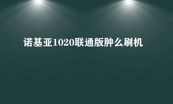 诺基亚1020联通版肿么刷机