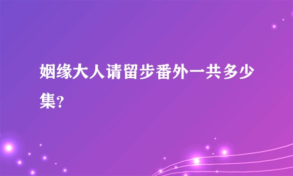 姻缘大人请留步番外一共多少集？