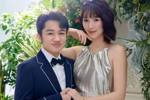 王祖蓝老婆二胎孕照太好看,你想生二胎了吗