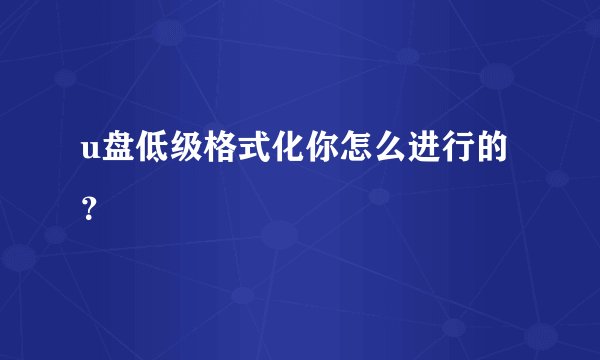 u盘低级格式化你怎么进行的？