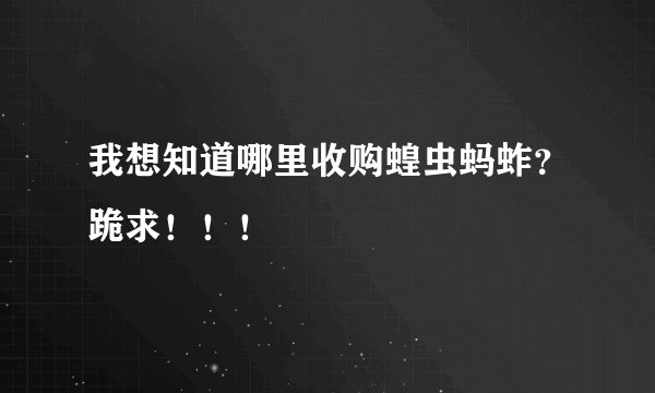 我想知道哪里收购蝗虫蚂蚱？跪求！！！