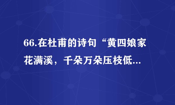 66.在杜甫的诗句“黄四娘家花满溪，千朵万朵压枝低。留连戏蝶时时舞，自在娇莺恰恰啼。”中描述了“蝶”和“莺”的行为。以下选项，哪一项最可能不是这首诗描述的行为：（）A. 蝶的采食行为，莺的求偶行为	B.蝶的拟态行为。莺的迁徙行为C. 蝶的求偶行为，莺的警戒行为	D.蝶的交往行为，莺的通讯行为