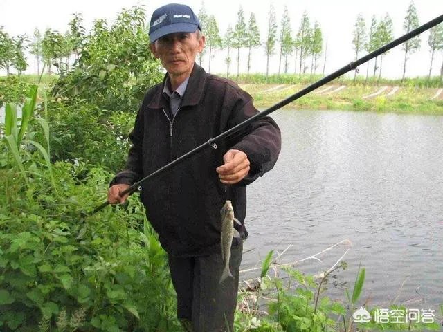 用剩下的大米饭如何能做出来鱼诱饵?