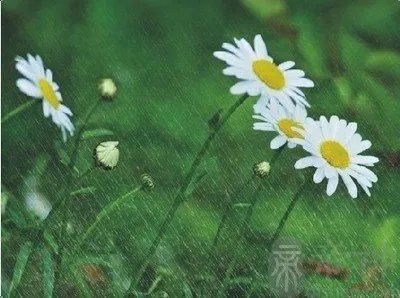 中秋节下雨意味着什么