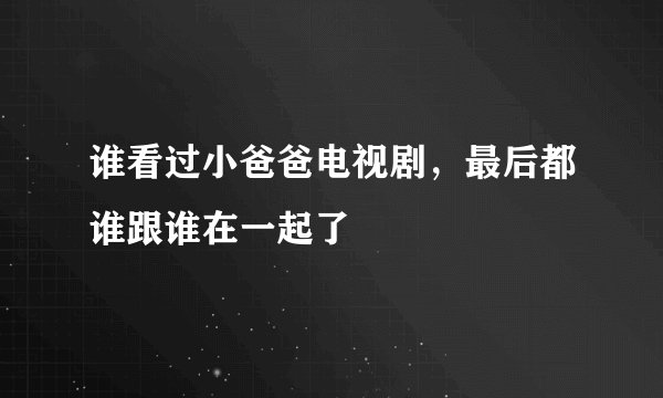 谁看过小爸爸电视剧，最后都谁跟谁在一起了