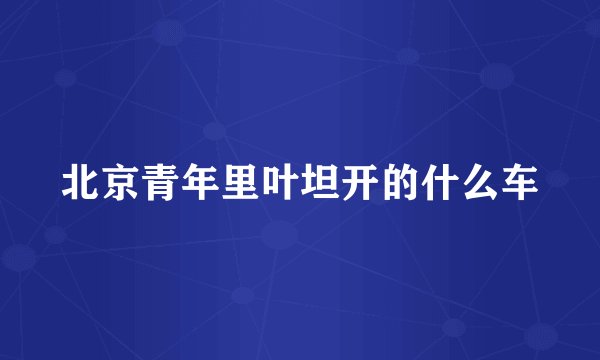 北京青年里叶坦开的什么车
