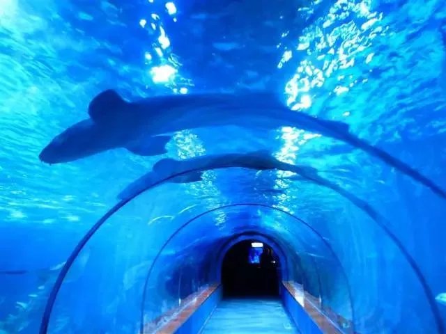 海口热带海洋世界怎么样?
