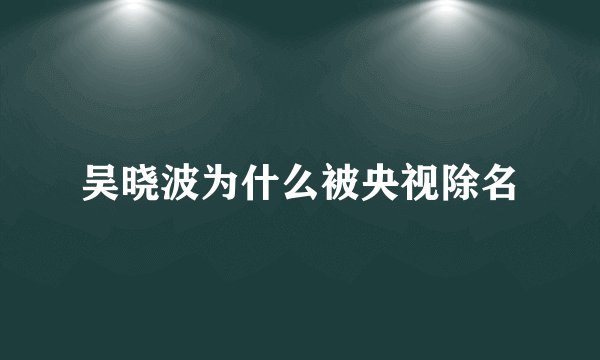吴晓波为什么被央视除名