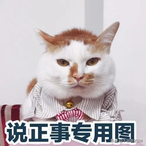 金米财税到底怎么样?