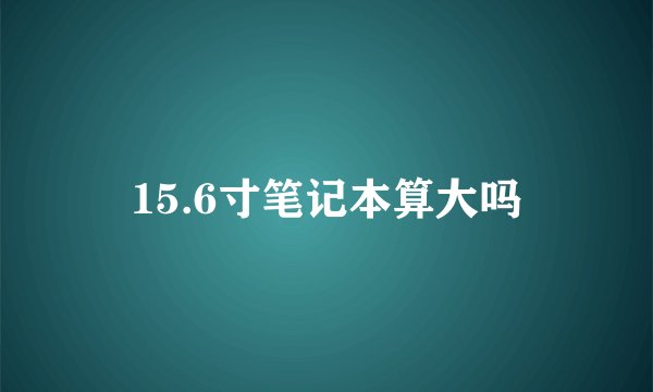 15.6寸笔记本算大吗