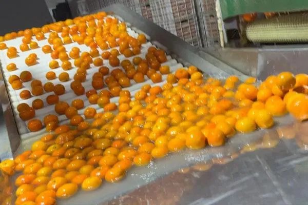 沃柑浸抑菌药后直接上市,这样的沃柑还能食用吗?
