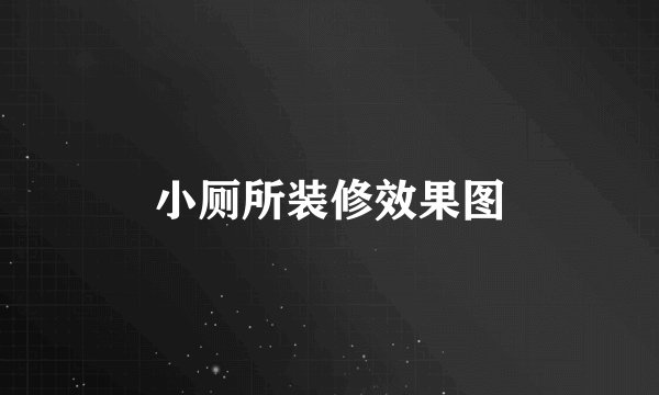小厕所装修效果图