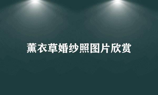 薰衣草婚纱照图片欣赏