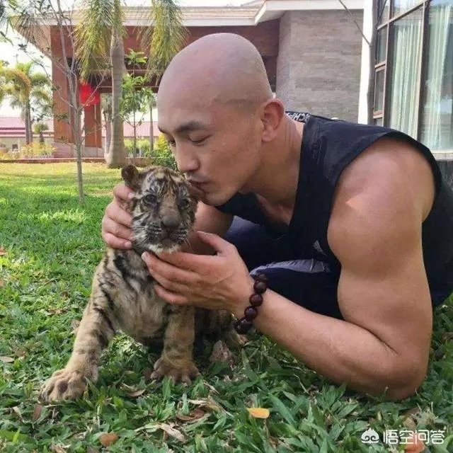 武僧一龙和刘二狗打擂台不管是不是炒作,结局你们满意吗?