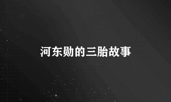 河东勋的三胎故事