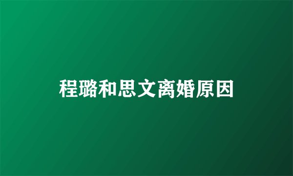 程璐和思文离婚原因
