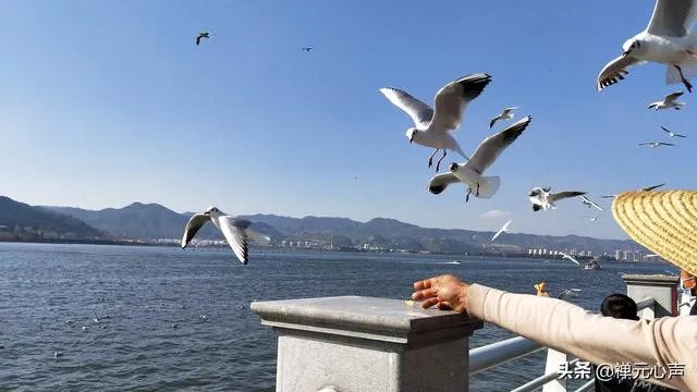 2021年的春节你是怎么过的?