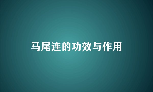 马尾连的功效与作用