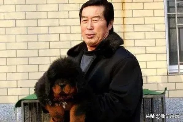 养藏獒，培养王军霞等奥运冠军，70多岁的马俊仁现状如何？
