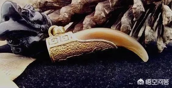 鬼吹灯三部电视剧出现了搬山,卸岭,摸金三个门派,下一部会出现发丘吗?你有什么期待?