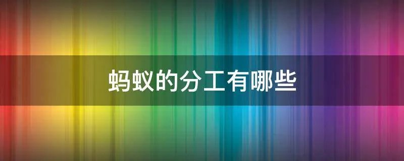 蚂蚁的分工有哪些