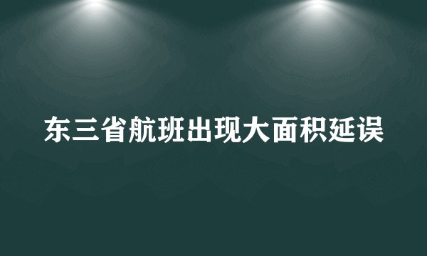 东三省航班出现大面积延误