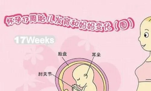 怀孕4个月能打掉吗 怀孕四个月打胎危险吗