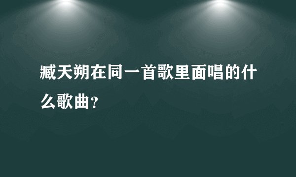 臧天朔在同一首歌里面唱的什么歌曲？