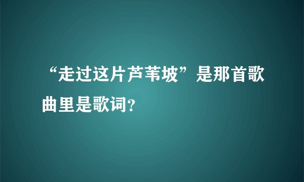 “走过这片芦苇坡”是那首歌曲里是歌词？