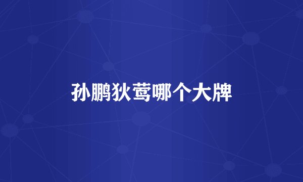 孙鹏狄莺哪个大牌