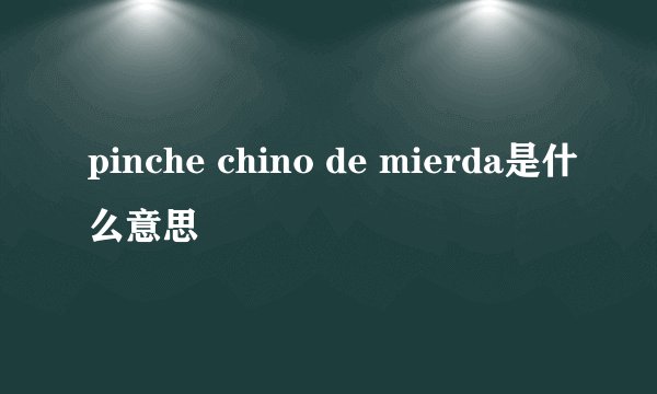 pinche chino de mierda是什么意思