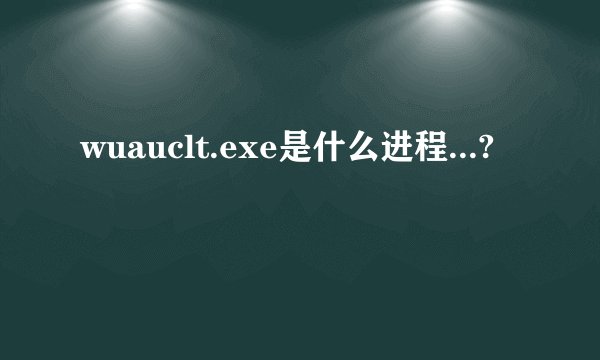 wuauclt.exe是什么进程...?