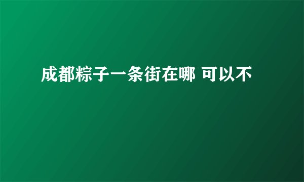 成都粽子一条街在哪 可以不