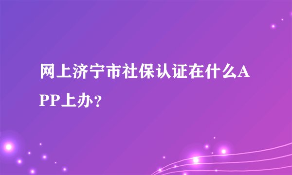 网上济宁市社保认证在什么APP上办?