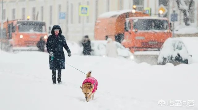为什么说俄罗斯莫斯科2月3、4日的降雪是“世纪大雪”,人们的生活受到哪些影响?