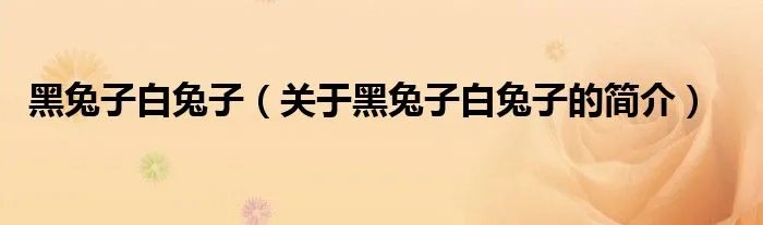 黑兔子白兔子（关于黑兔子白兔子的简介）