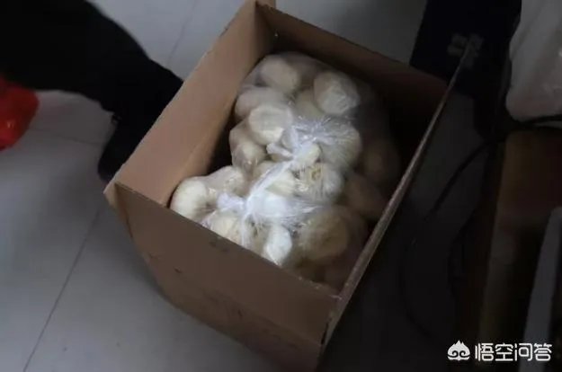 春节返程到目的地下车，发现东西太多拉不动怎么办？