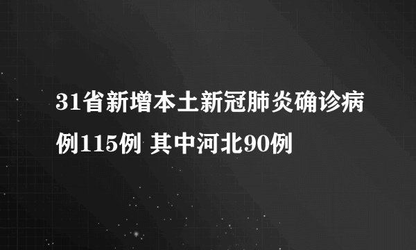 31省新增本土新冠肺炎确诊病例115例 其中河北90例