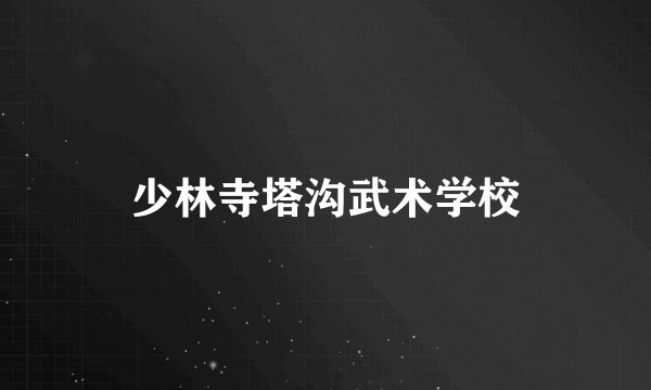 少林寺塔沟武术学校