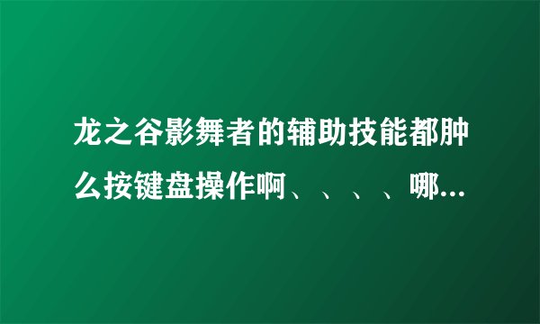 龙之谷影舞者的辅助技能都肿么按键盘操作啊、、、、哪个好心人帮帮我。。。