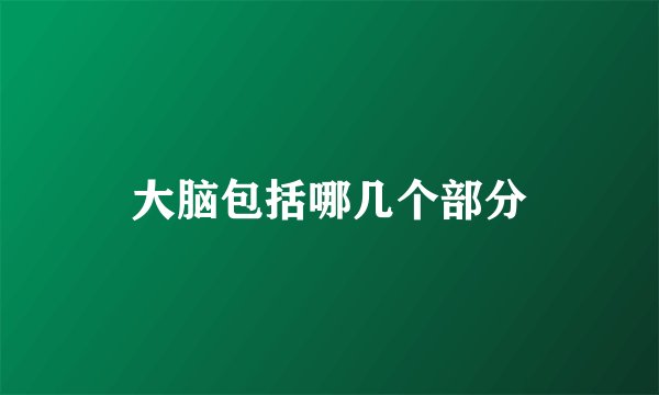 大脑包括哪几个部分