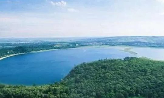 广东水怪：湛江湖光岩惊现数十条巨型生物