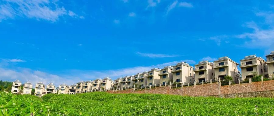 一边大佬建议尽快放开三胎,一边房价进入“万”元时代,你咋看?