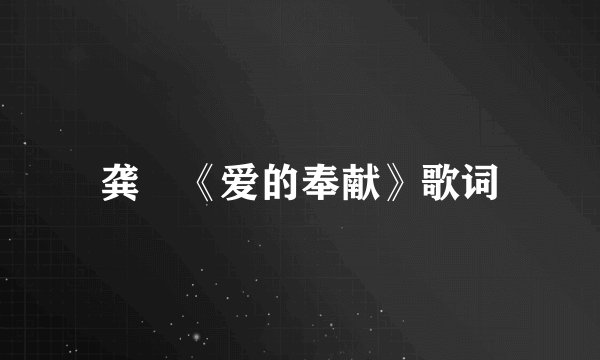 龚玥《爱的奉献》歌词