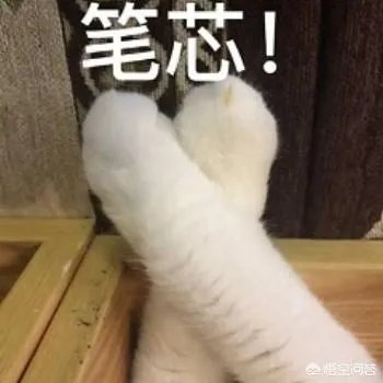 MK包怎么样，适合刚上班没多久的女生背吗？
