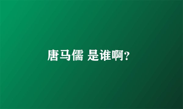唐马儒 是谁啊?