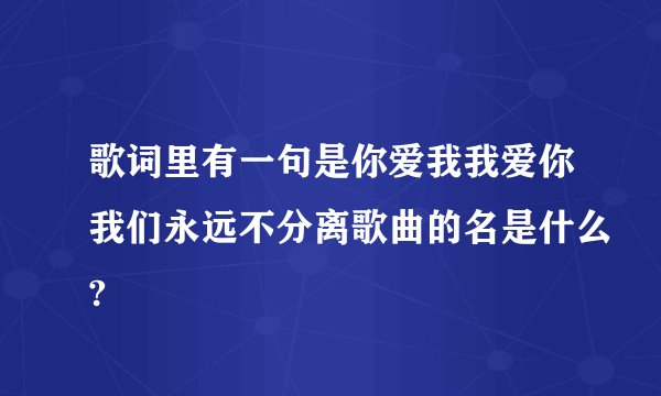 歌词里有一句是你爱我我爱你我们永远不分离歌曲的名是什么?
