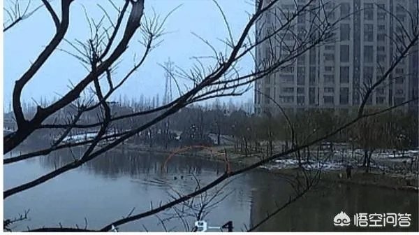 如何看待上海六旬老人赤膊跳入河中救人?