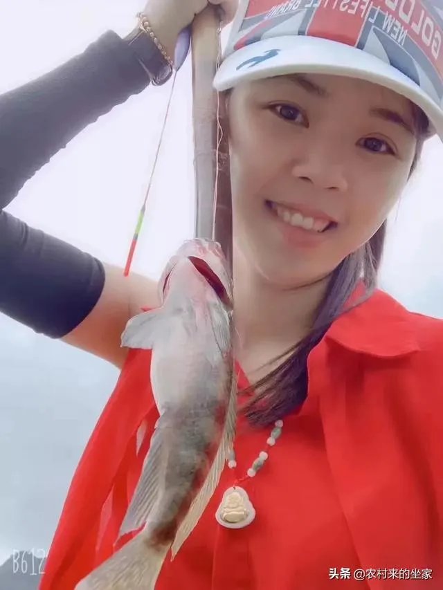 池塘里没有放鱼,但是过一段时间有小鱼了,是怎么产生的呢?